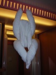 DSCN8486.jpg