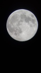 luna 07-04-2020 - 1.jpg