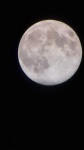 luna 07-04-2020 - 2.jpg