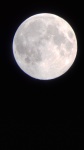 luna 07-04-2020 - 3.jpg